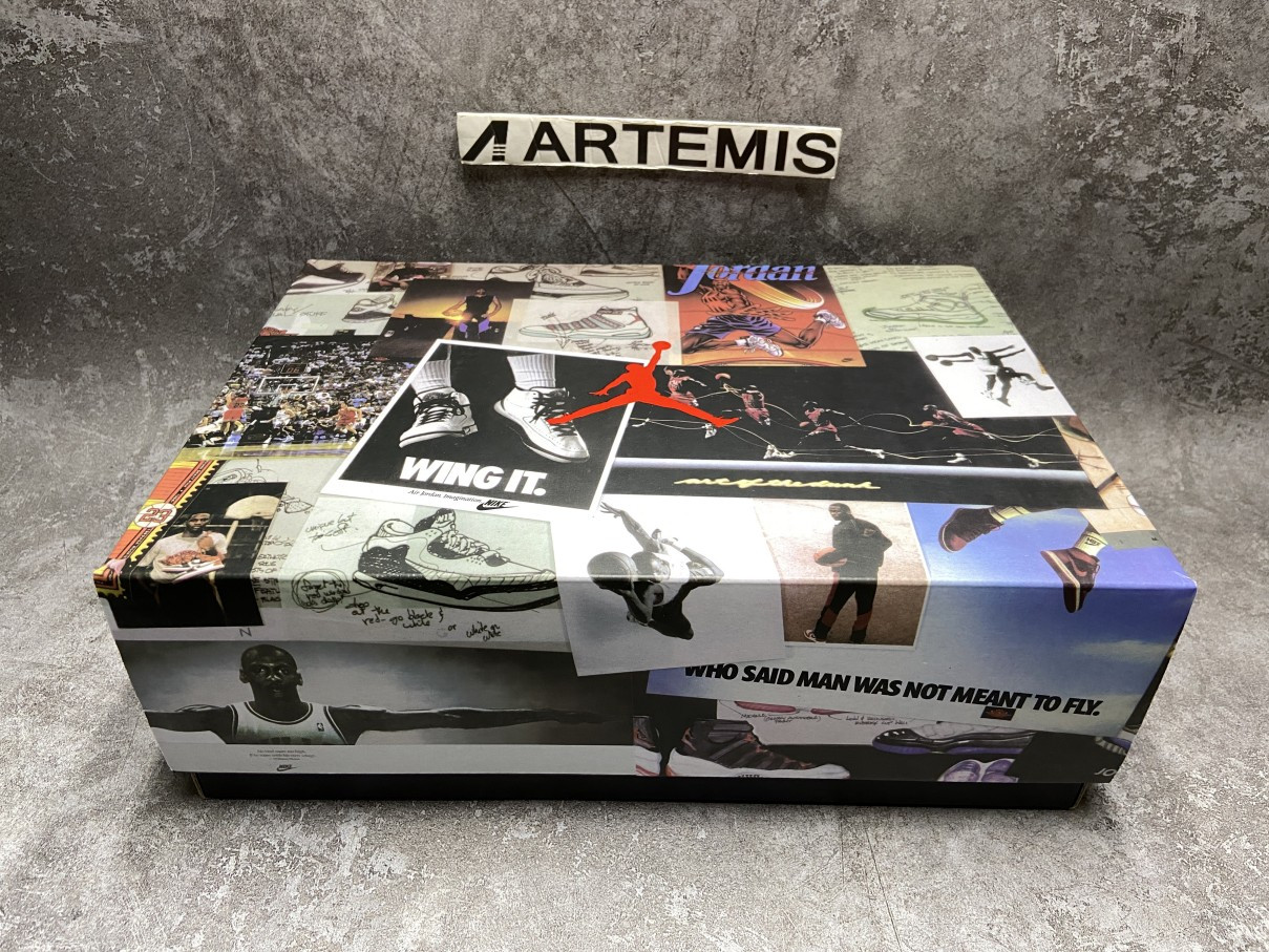 Air Jordan 5 Retro SE Oregon