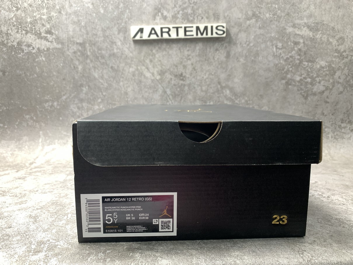 Air Jordan 12 Retro Arctic Punch