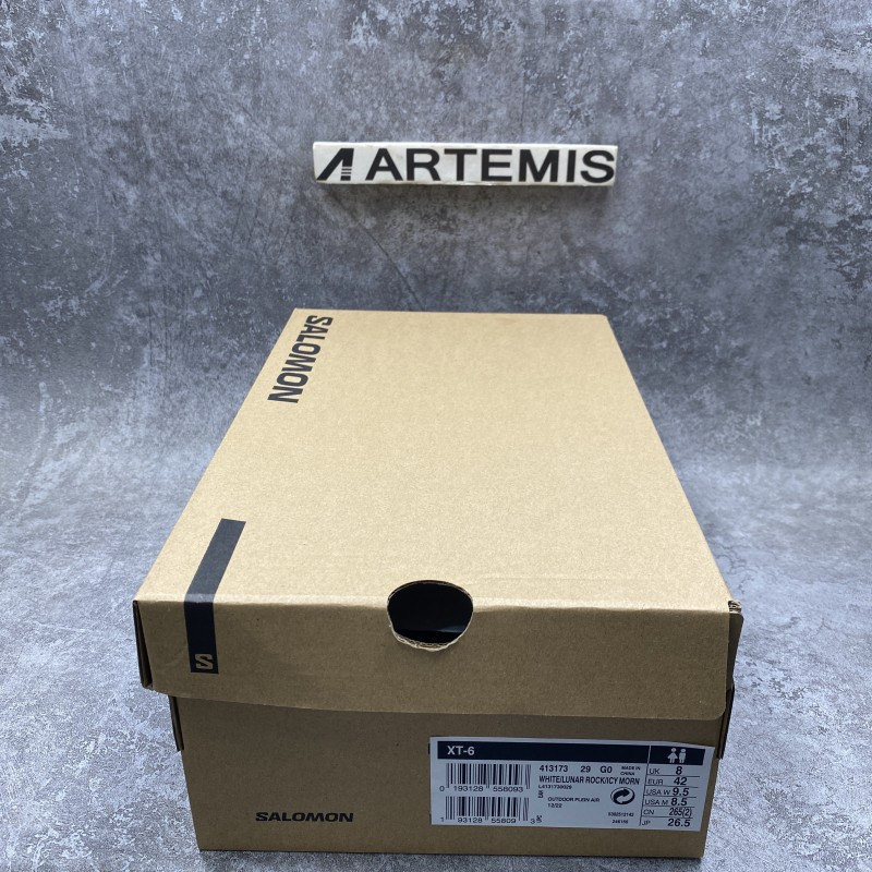 Salomon Icy Morn Low Top Sneakers